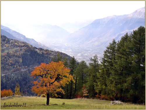 MARTIGNY