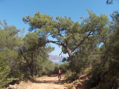 13 Kalo Chorio chemin muletier