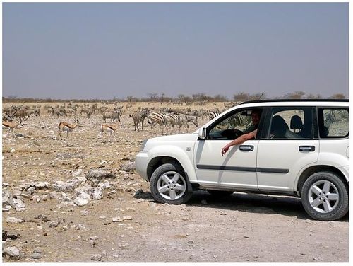 Rietfontein Etosha