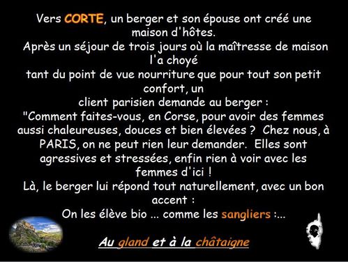 corte.002.JPG