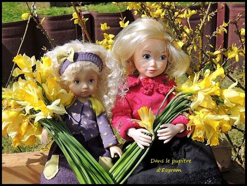 110 Jonquilles(27)