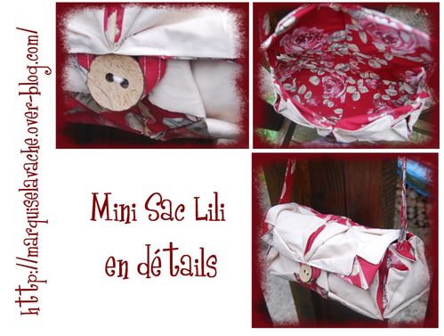 Mini-Sac-Lili-1.jpg