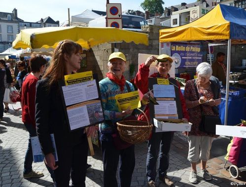 amnesty 17 mai
