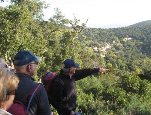 2013-01-31 Les Hauts du Rayol-012