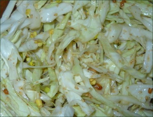vegecarib408