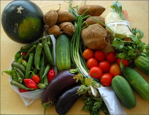 vegecarib361.jpg