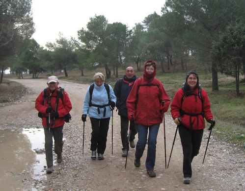 2011-02-24 Forêt de Palayson-002