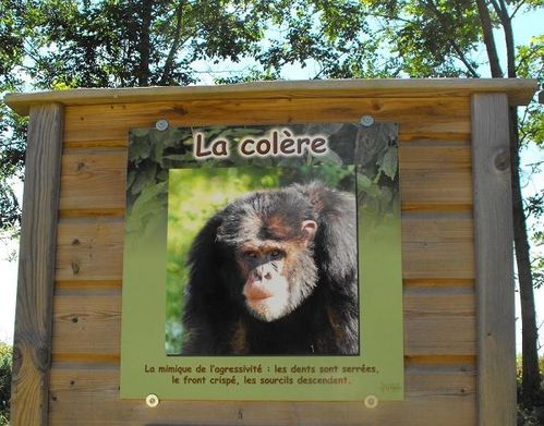 DSCF7546--R.JPG