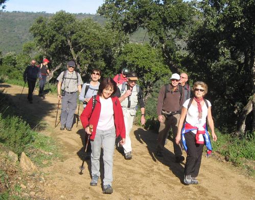 2013-01-31 Les Hauts du Rayol-014