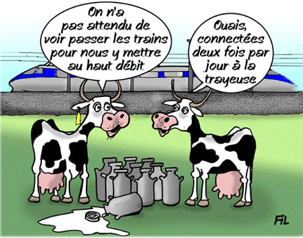 Capture vaches humour