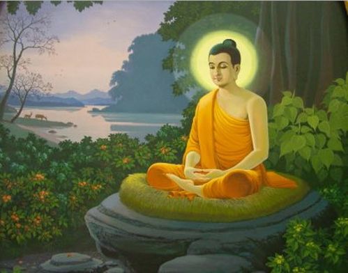 bouddha-en-foret.jpg