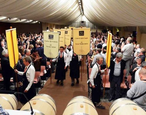 vignerons-TC.jpg