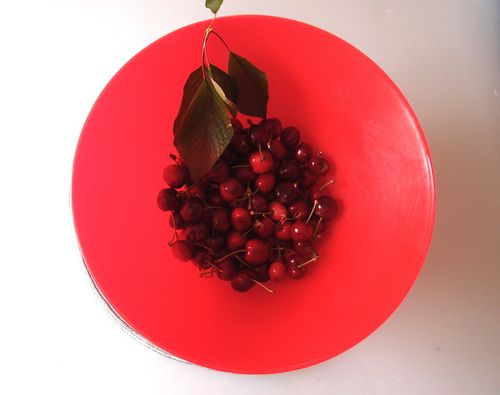 cerises-jardin-copie-1.JPG