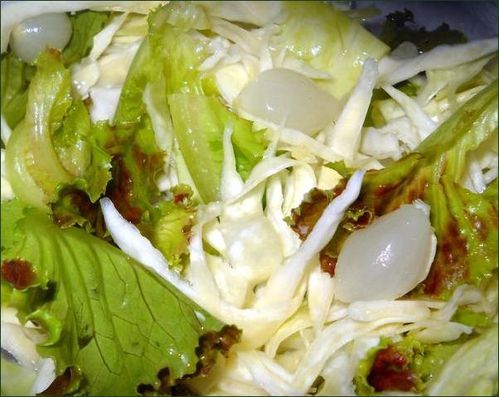 Chou blanc, feuilles de salade, oignon au vinaigre vegecarib897