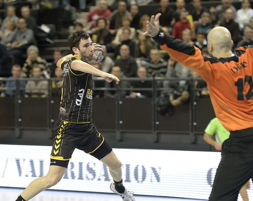 D1-Chambery-Selestat-28-11-2012-Photo-N-20.jpg