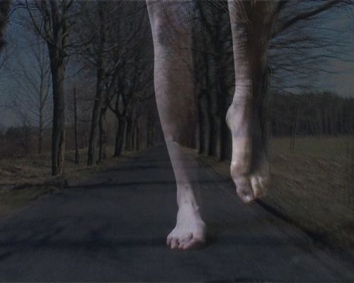 tracesextraitvideo.jpg