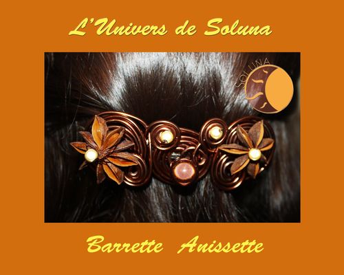 Barrette Anissette