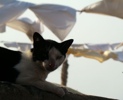 DSC05088