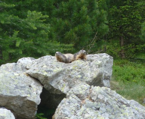 2012-06-27-Lacs de Prasles-007