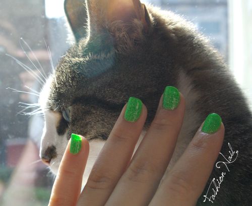 CC-green.JPG
