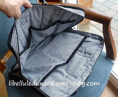 Libellule-housse-pc-carole-B.JPG