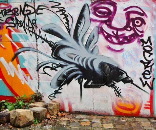 Frigo tags insecte mouche