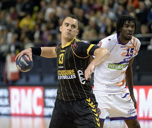 D1-Chambery-Selestat-28-11-2012-Photo-N-16.jpg