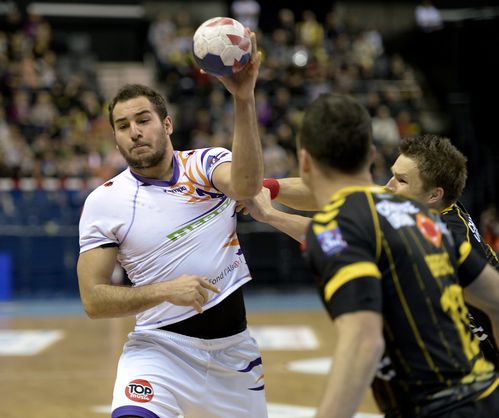 D1-Chambery-Selestat-28-11-2012-Photo-N-2.jpg