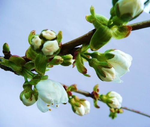 P1080228