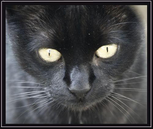 luna2jpg.jpg