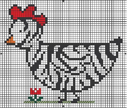 Poule Zèbre