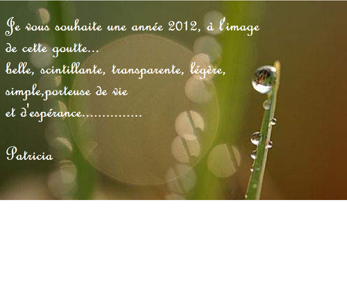voeux-2012-1-2-2.png