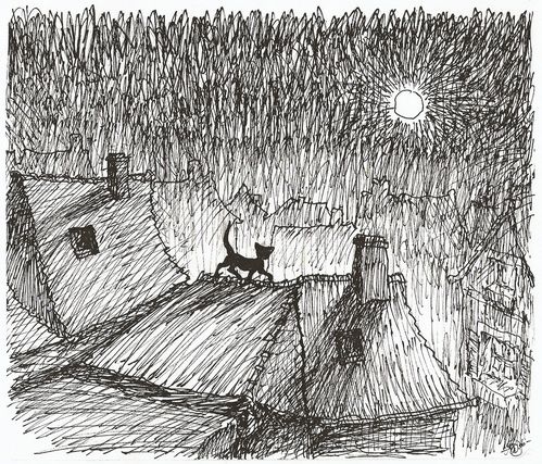 illustrationcat