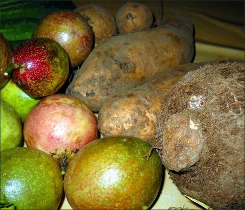 vegecarib331.jpg