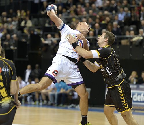 D1-Chambery-Selestat-28-11-2012-Photo-N-9.jpg