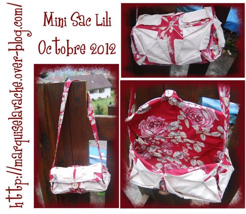 Mini-SAc-Lili.jpg