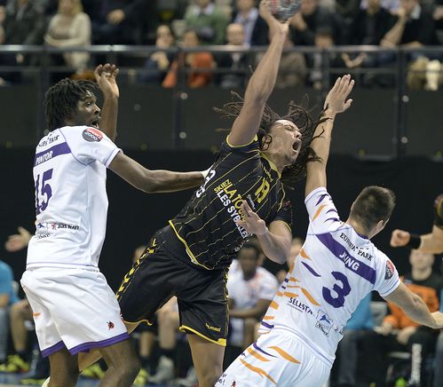 D1-Chambery-Selestat-28-11-2012-Photo-N-28.jpg