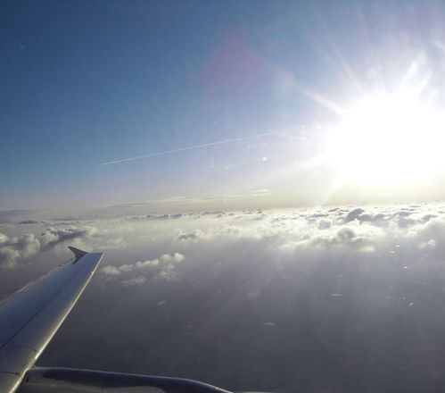 SDC18323