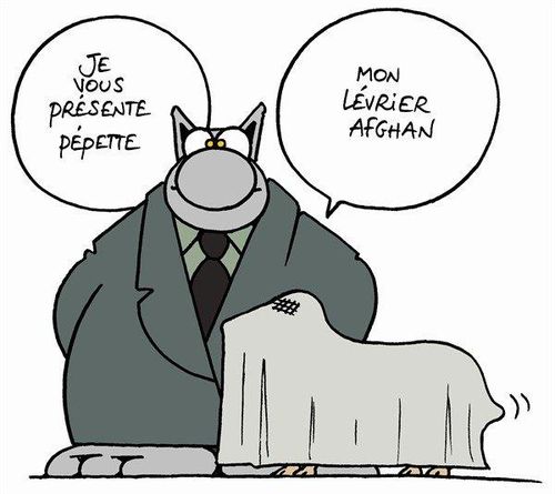 lévrier