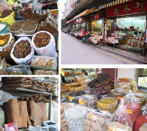 medicinal plant-qingping-guangzhou-market-dry copie