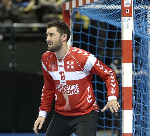 D1-Chambery-Selestat-28-11-2012-Photo-N-11.jpg