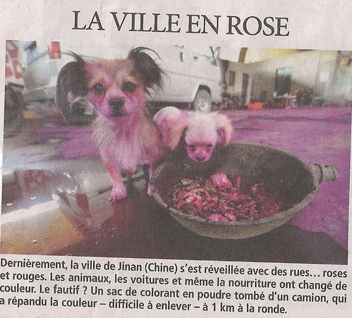 direct matin 22-copie-1