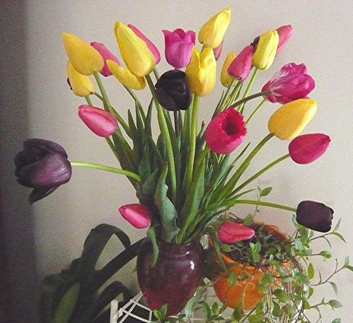 bouquet de tulipes2 - reduc1