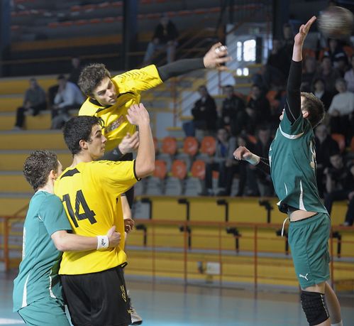 Photo-N-12-copie-1.jpg