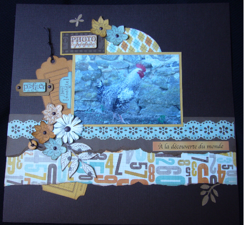 projet11