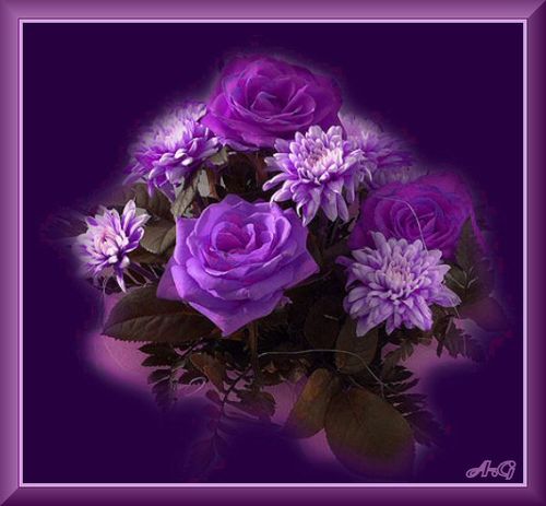 ImageRSES-MAUVES3.jpg