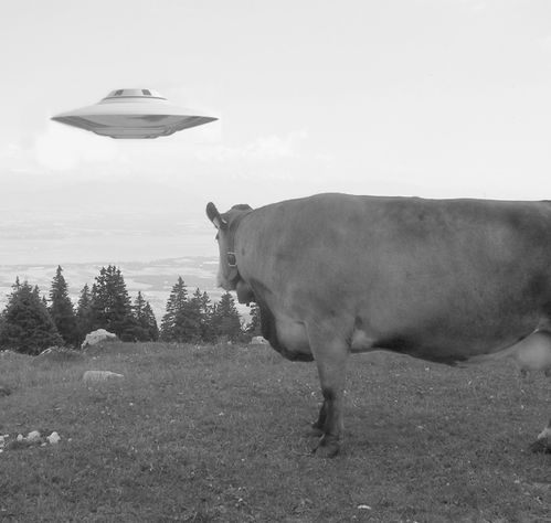 soucoupe-et-vache.jpg