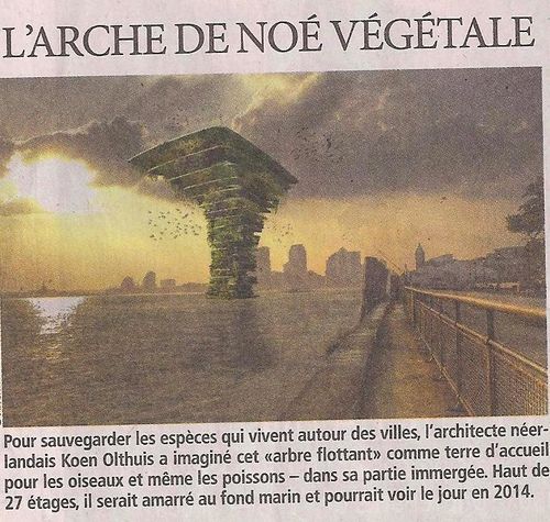 11directmatin