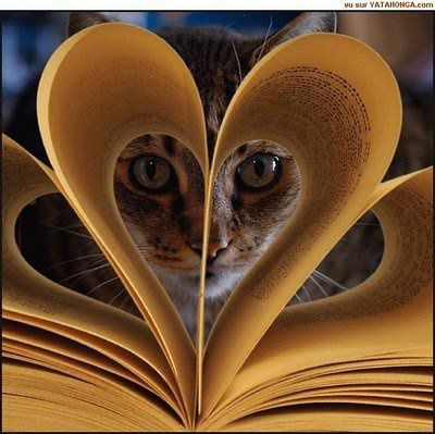 Lire.jpg