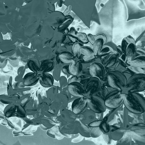 2013-06-01-DeMaFenetre#22 (3)